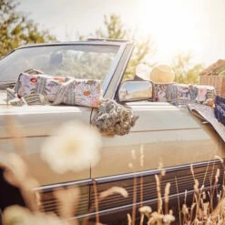 Picknickdecke L 175 X B 154cm BETWEEN FLOWERS In Dunkelblau 19 Picknickdecke L 175 X B 154cm BETWEEN FLOWERS In Dunkelblau -Einrichtungsgeschäft butlers picknickdecke l 175 x b 154cm between flowers in dunkelblau 9