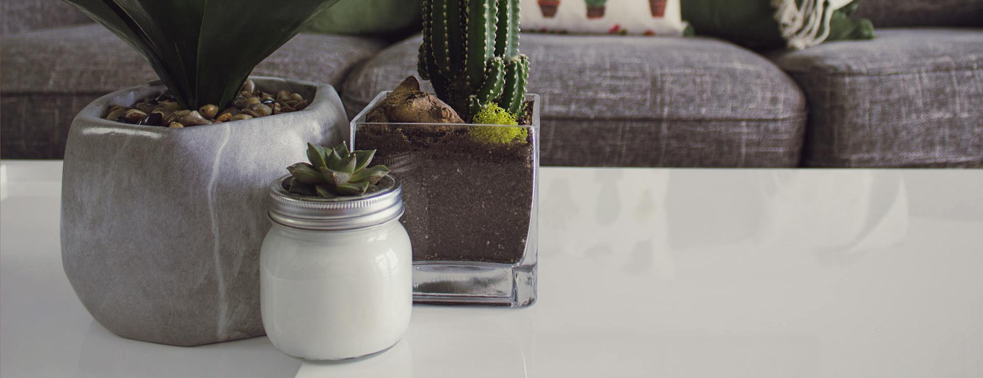 Einrichtungsgeschäft -Einrichtungsgeschäft pexels designecologist 1005058